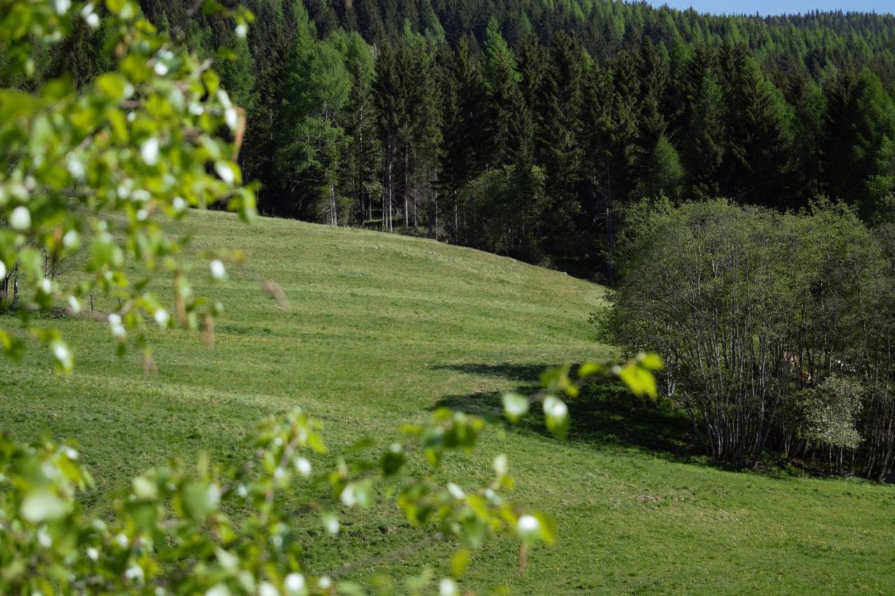 Landhaus Holzer Sankt Margarethen im Lungau Eksteriør billede